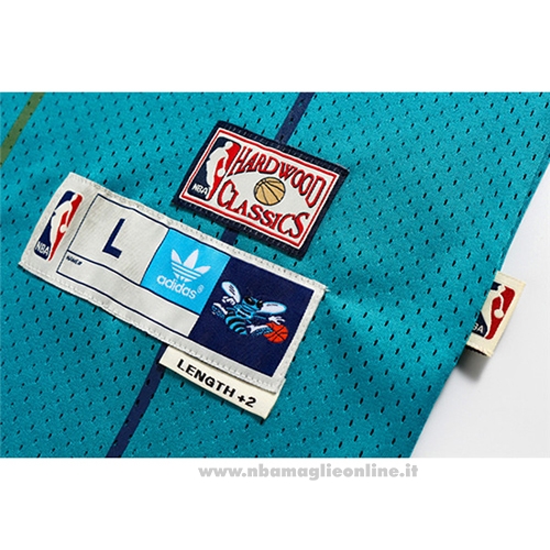 Maglia Charlotte Hornets Dell Curry NO 30 Throwback Verde